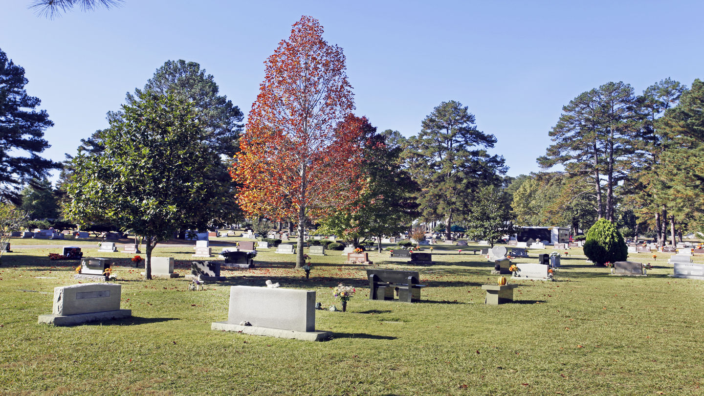 Forest Hills Cemetery Cemetery
